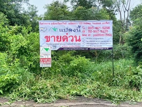 ที่ดินเปล่า 1 ไร่  ต.เมืองปัก อ.ปักธงชัย จ.นครราชสีมา